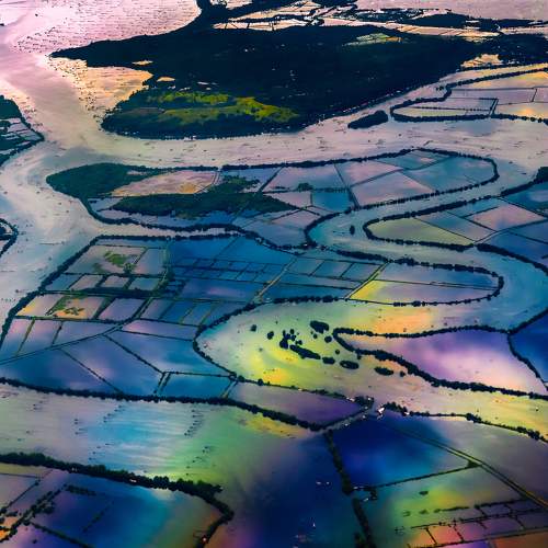 Photo #11071715