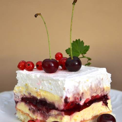 Photo #11071716