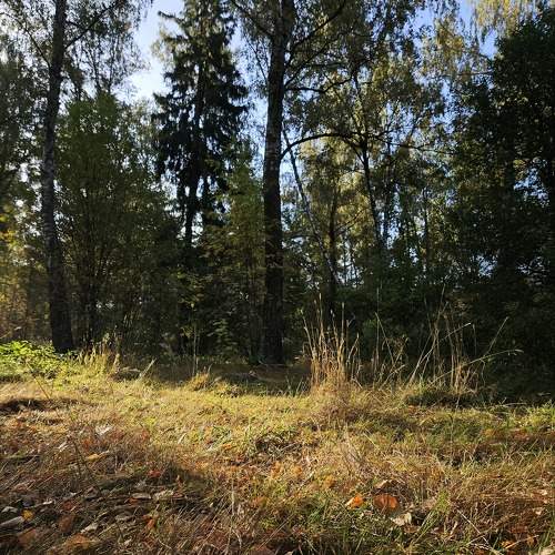 Photo #11071842
