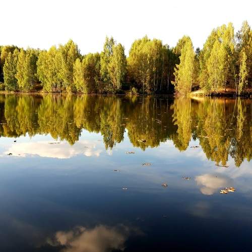 Photo #11071862