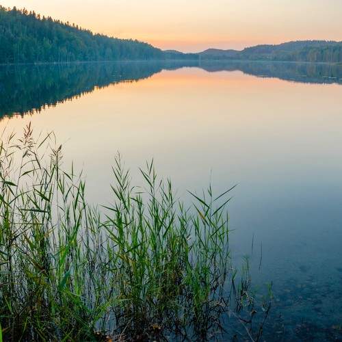 Photo #11072201