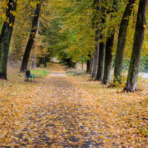 Photo #11072246