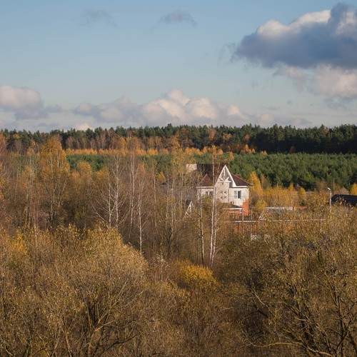 Photo #11072247