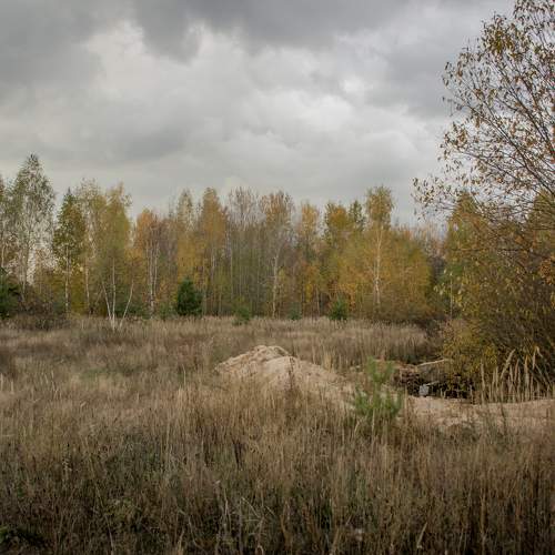Photo #11072248