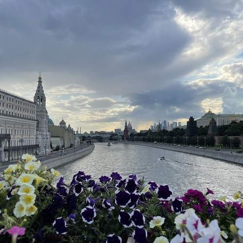 Photo #11072659