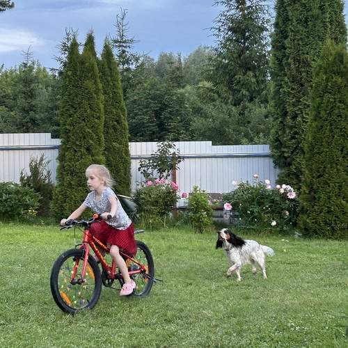 Photo #11072686