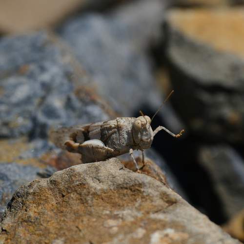 Photo #11072698