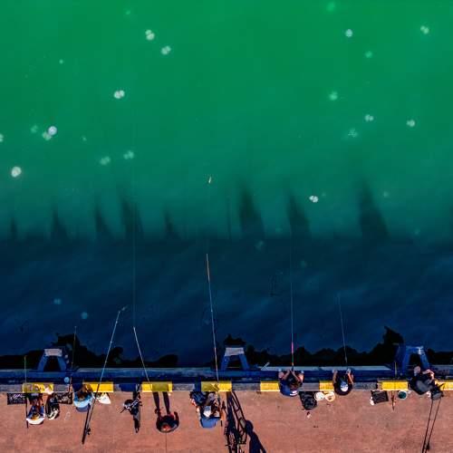Photo #11072821