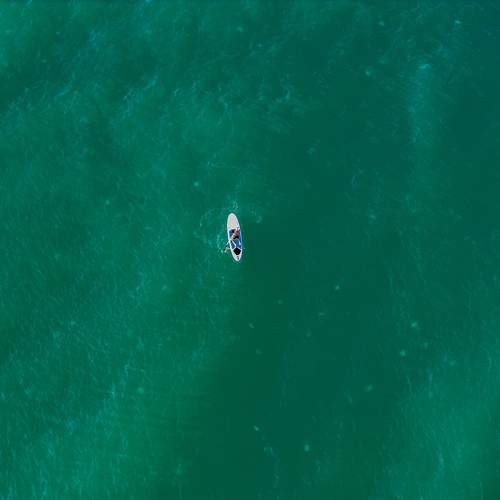 Photo #11072822