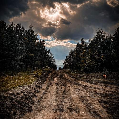 Photo #11072968