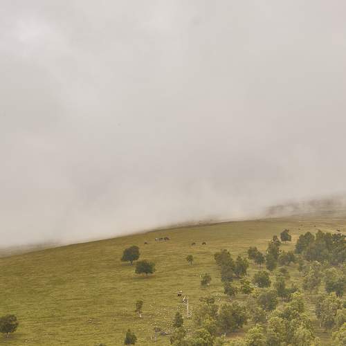 Photo #11073289