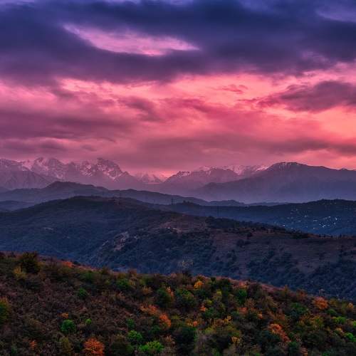 Photo #11073295