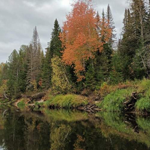 Photo #11073301