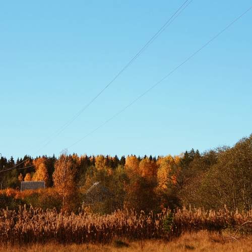 Photo #11073443