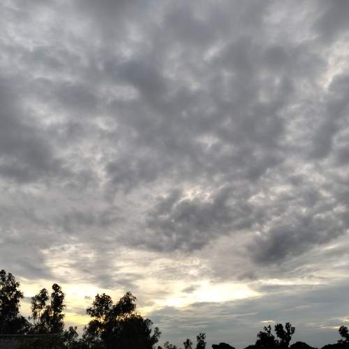 Photo #11073475