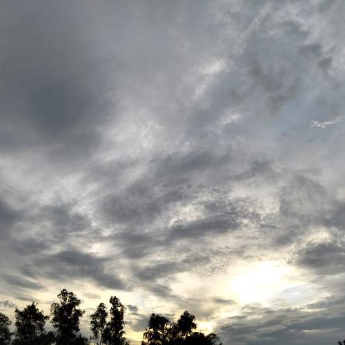 Photo #11073484