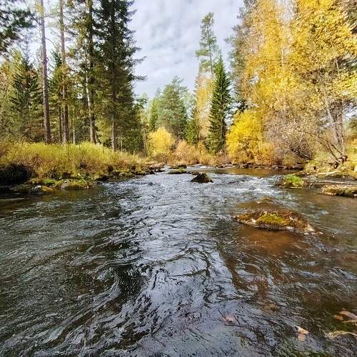 Photo #11073577