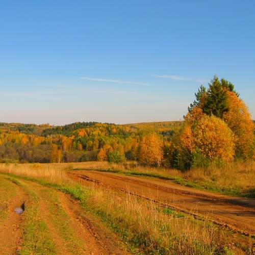 Photo #11073860