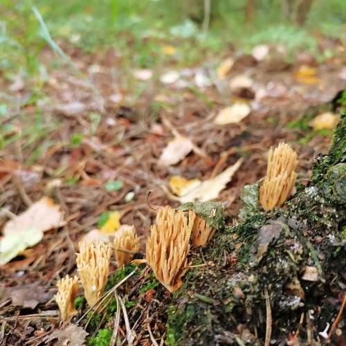 Photo #11073897