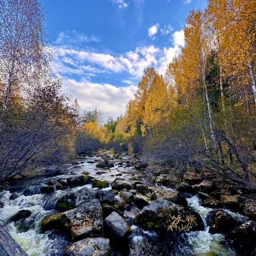 Photo #11073960