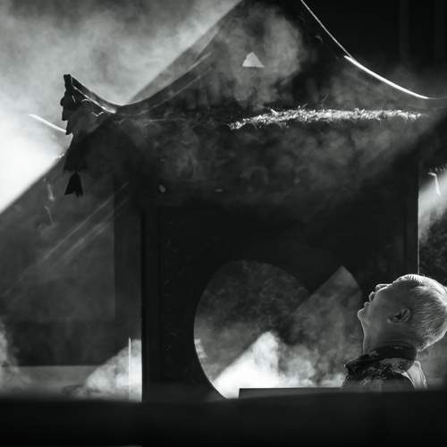 Photo #11074339