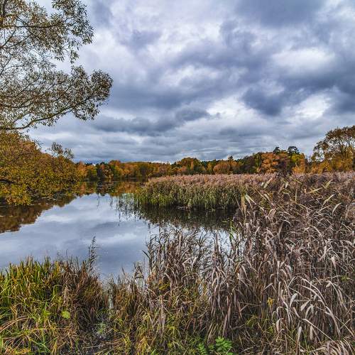 Photo #11074428