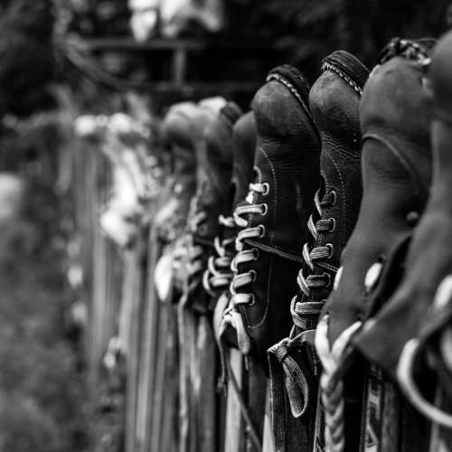 Photo #11074692