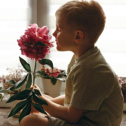 Photo #11074695