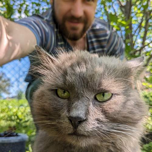 Photo #11074818