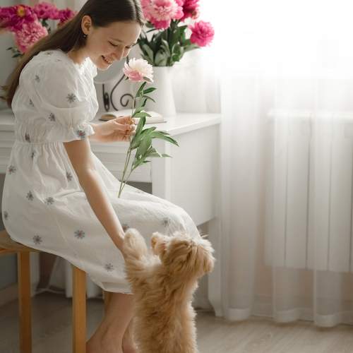 Photo #11075330