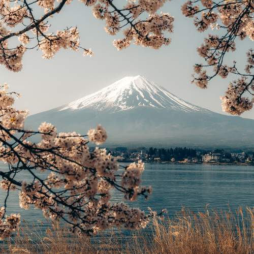 Photo #11075475
