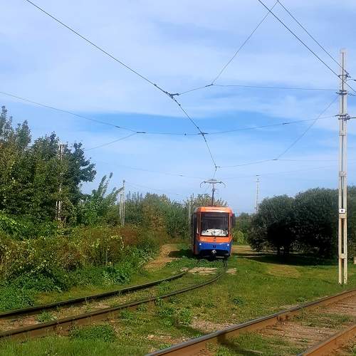 Photo #11075573