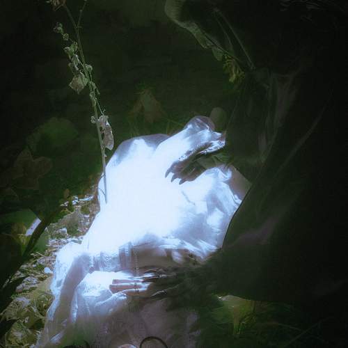 Photo #11075678