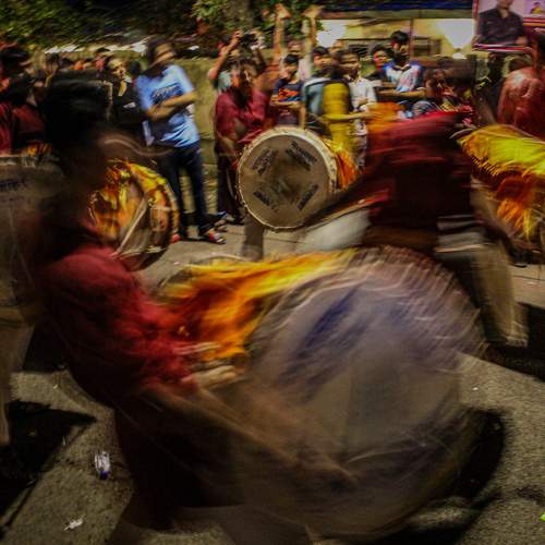 Photo #11075846