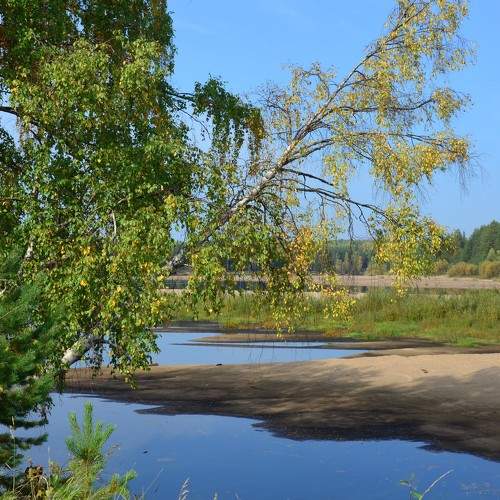 Photo #11075876