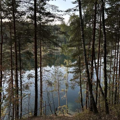 Photo #11076565