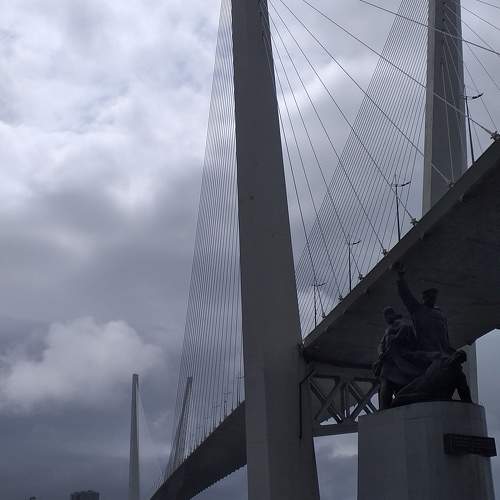 Photo #11076575