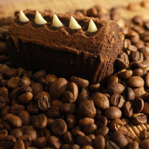 Photo #11076606