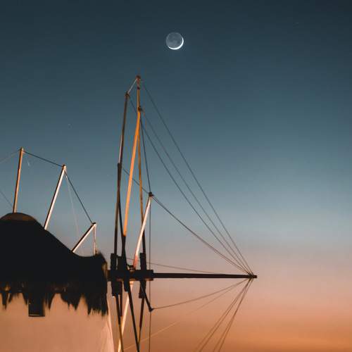Photo #11076771