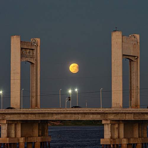 Photo #11076830
