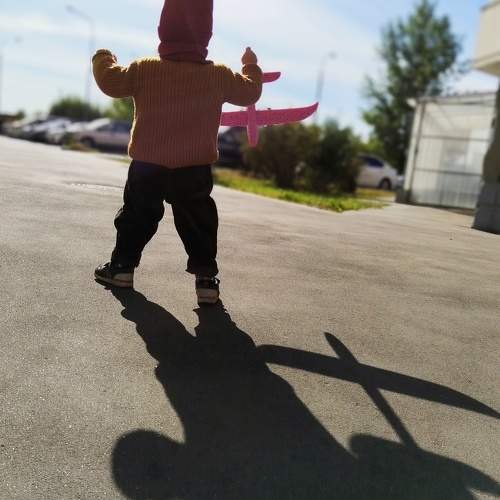 Photo #11076941