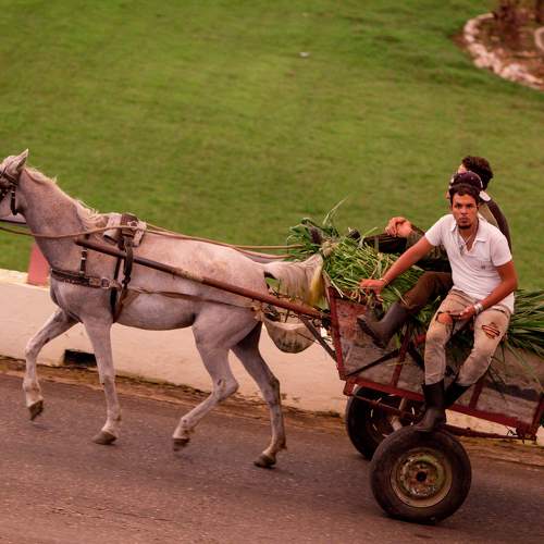 Фотография #11077114