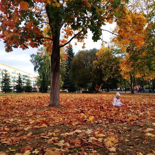 Photo #11077116