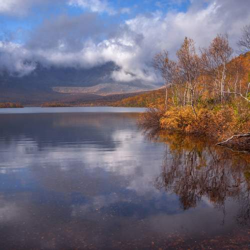 Photo #11077143