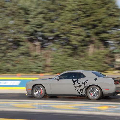 Photo #11077414
