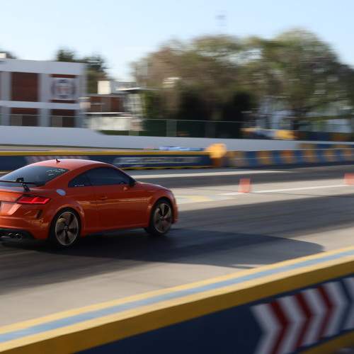 Photo #11077417