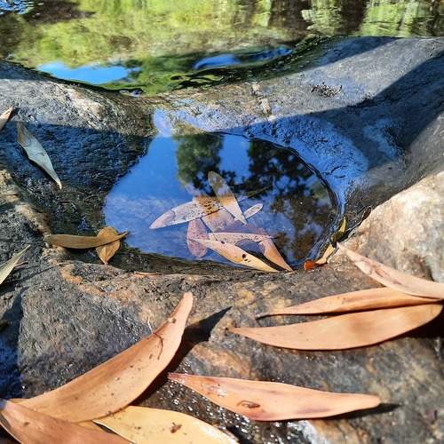 Photo #11077435