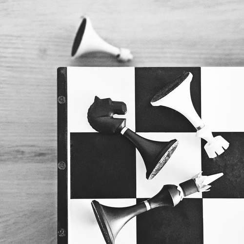 Photo #11077491