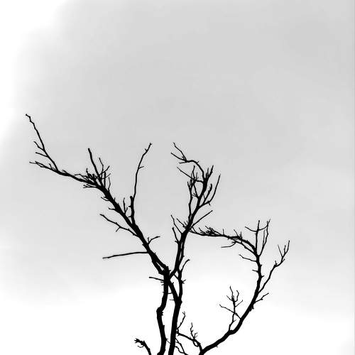 Standing in hope of new beginning