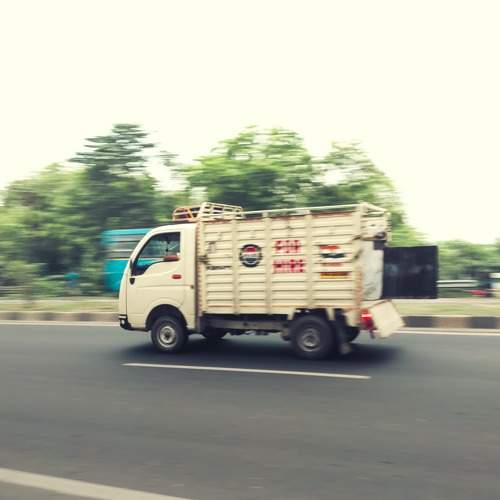 Photo #11077907